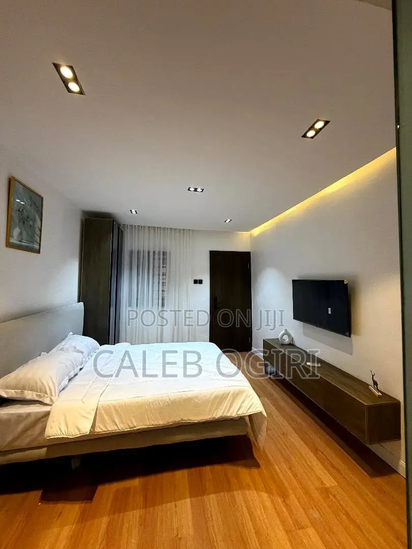 One Bedroom Apartment at Akoka Yaba