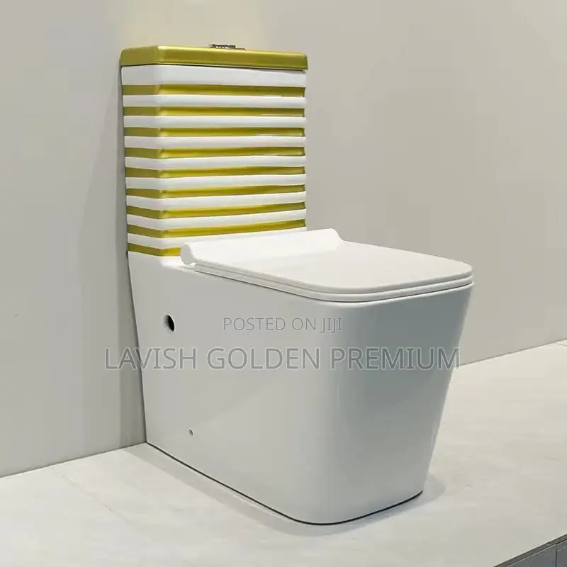 Luxury Modern Gold White Water Closet Set With Basin