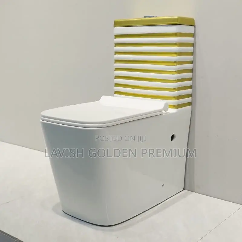 Luxury Modern Gold White Water Closet Set With Basin