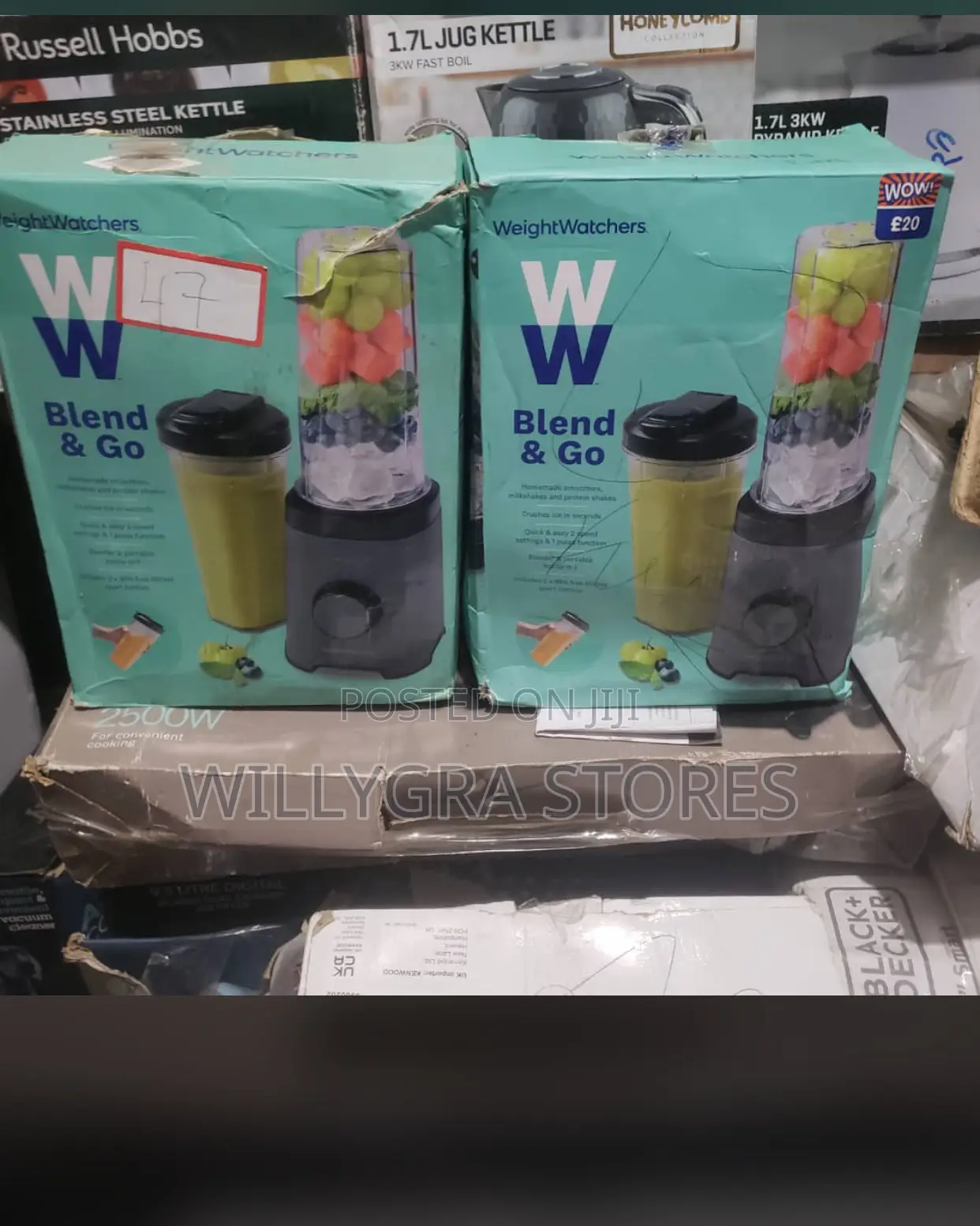 Weightwatchers Blend Go
