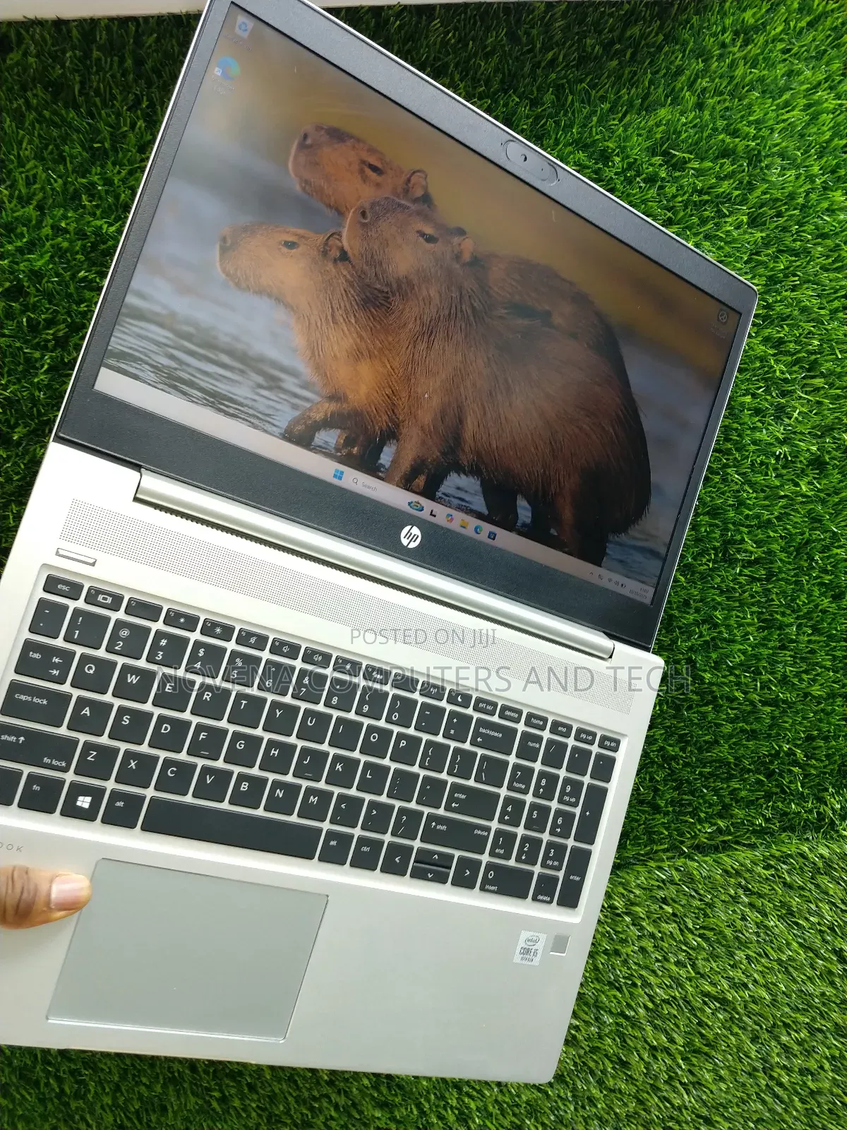 Laptop HP ProBook 450 G7 16GB Intel Core i5 SSD 512GB