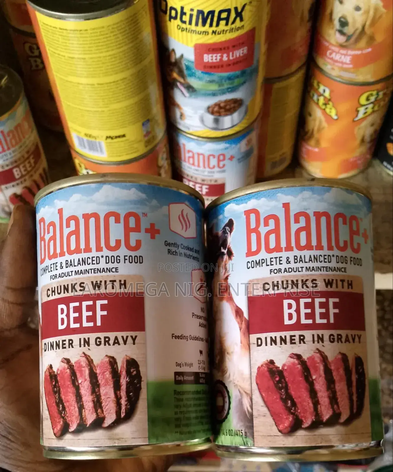 Balance+ Dog Food