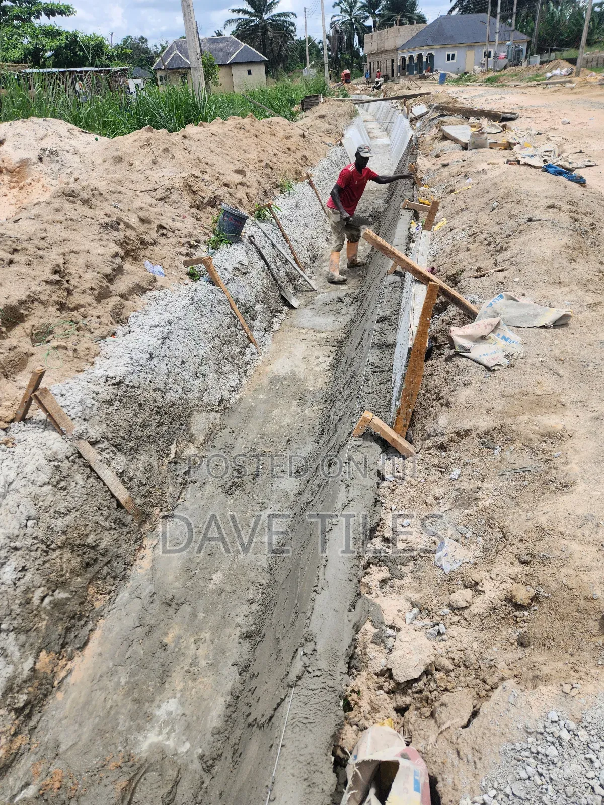 Trapedsodia Drainage