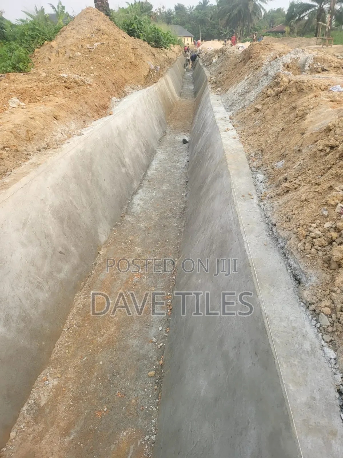 Trapedsodia Drainage