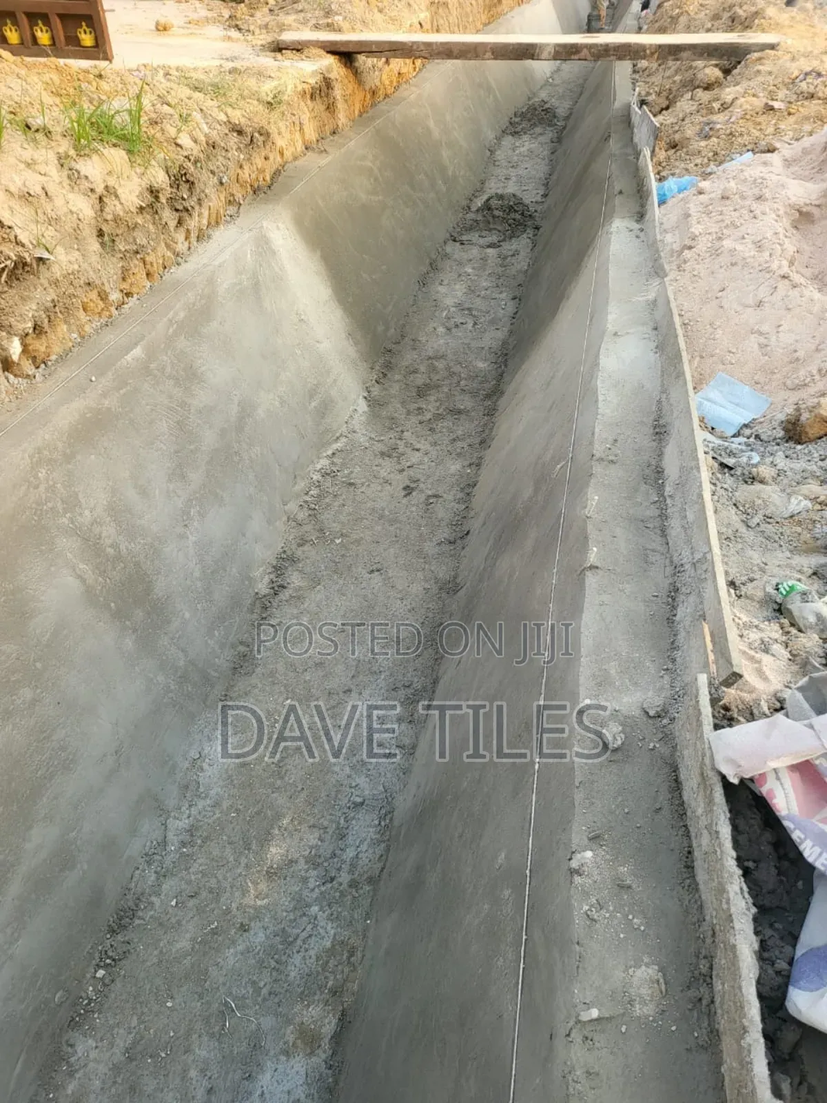 Trapedsodia Drainage