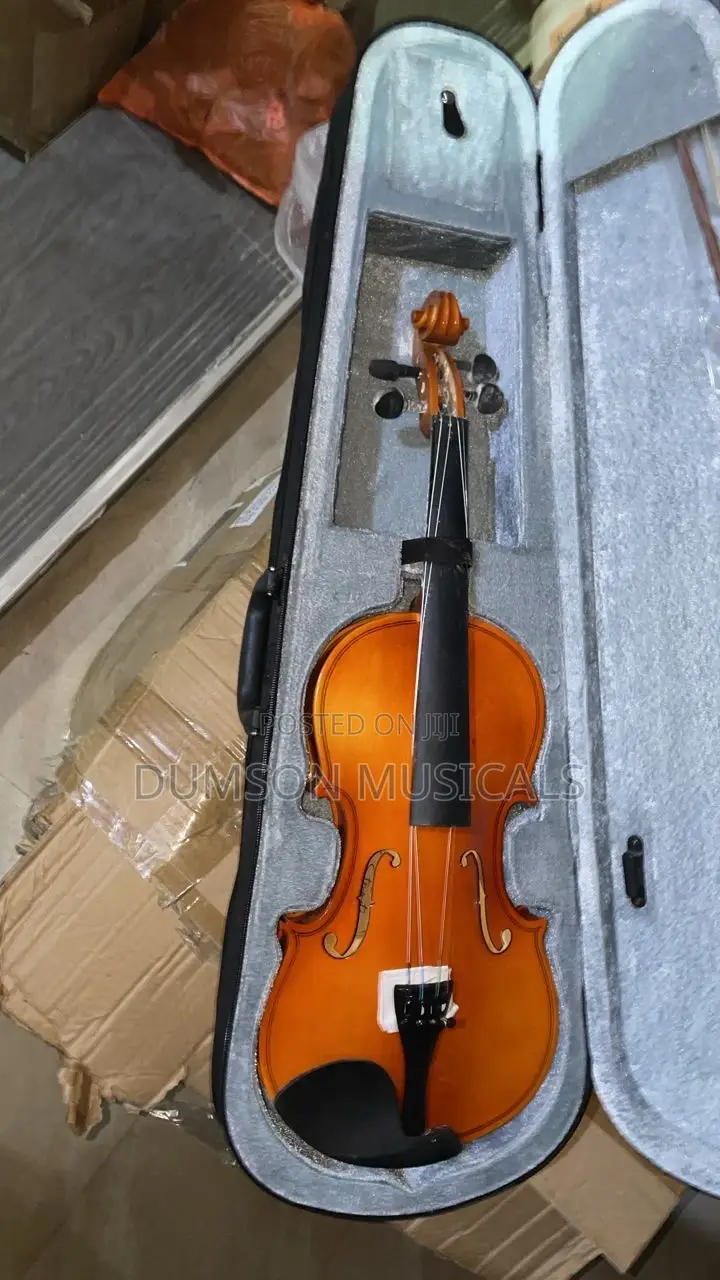 Student Violin for Beginers and Intermediate Players