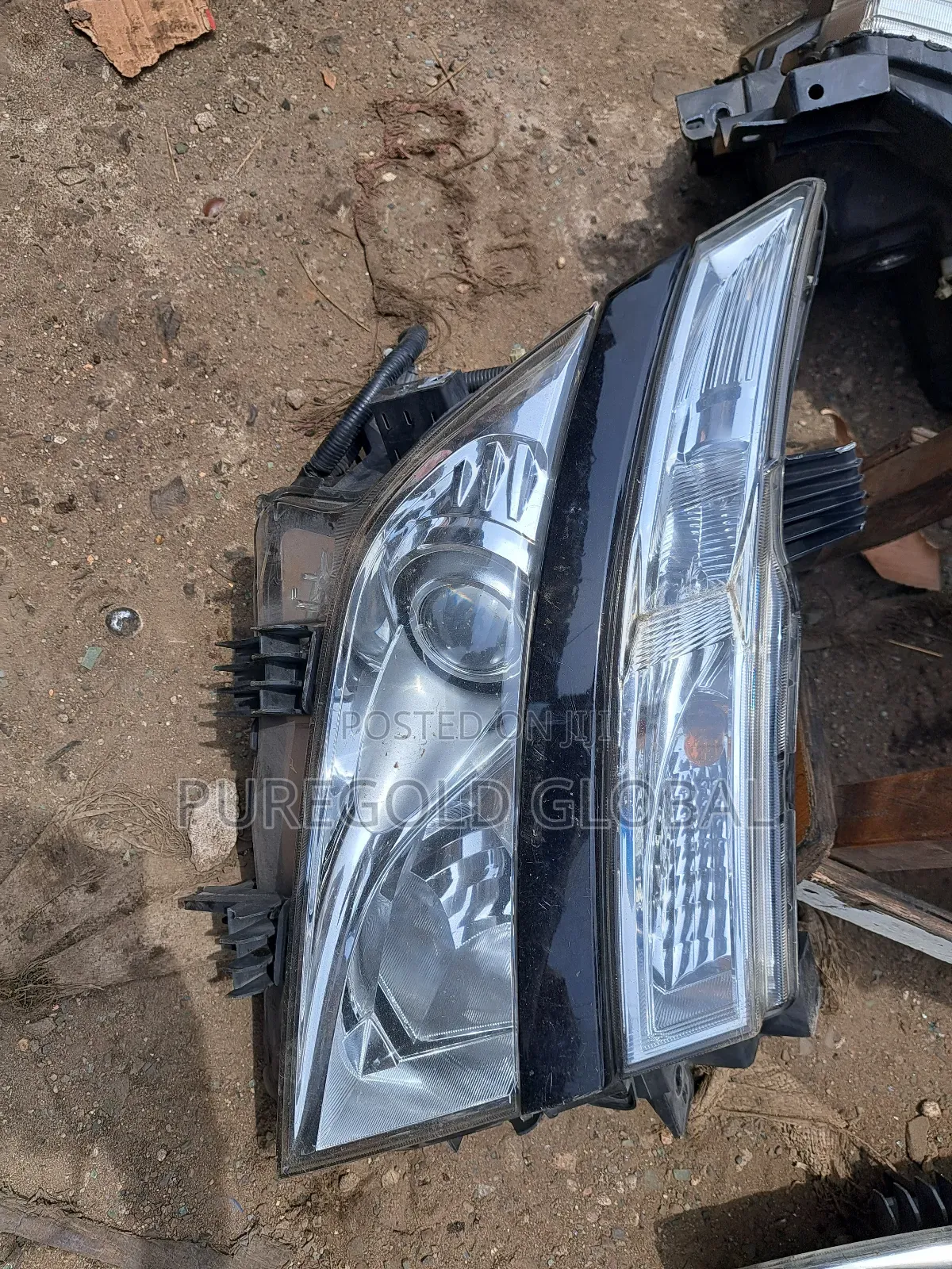 Nissan Elgrand Headlamp