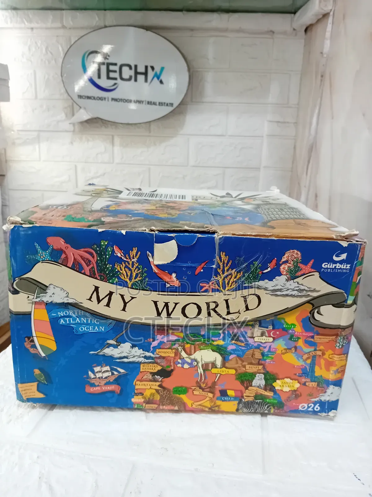 Topglobe 26cm Globe With Graphic Display And Safety Pins - Multi-color