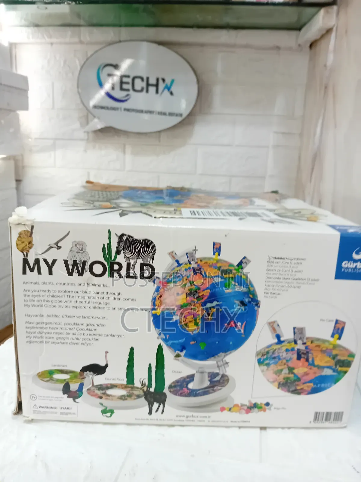 Topglobe 26cm Globe With Graphic Display And Safety Pins - Multi-color