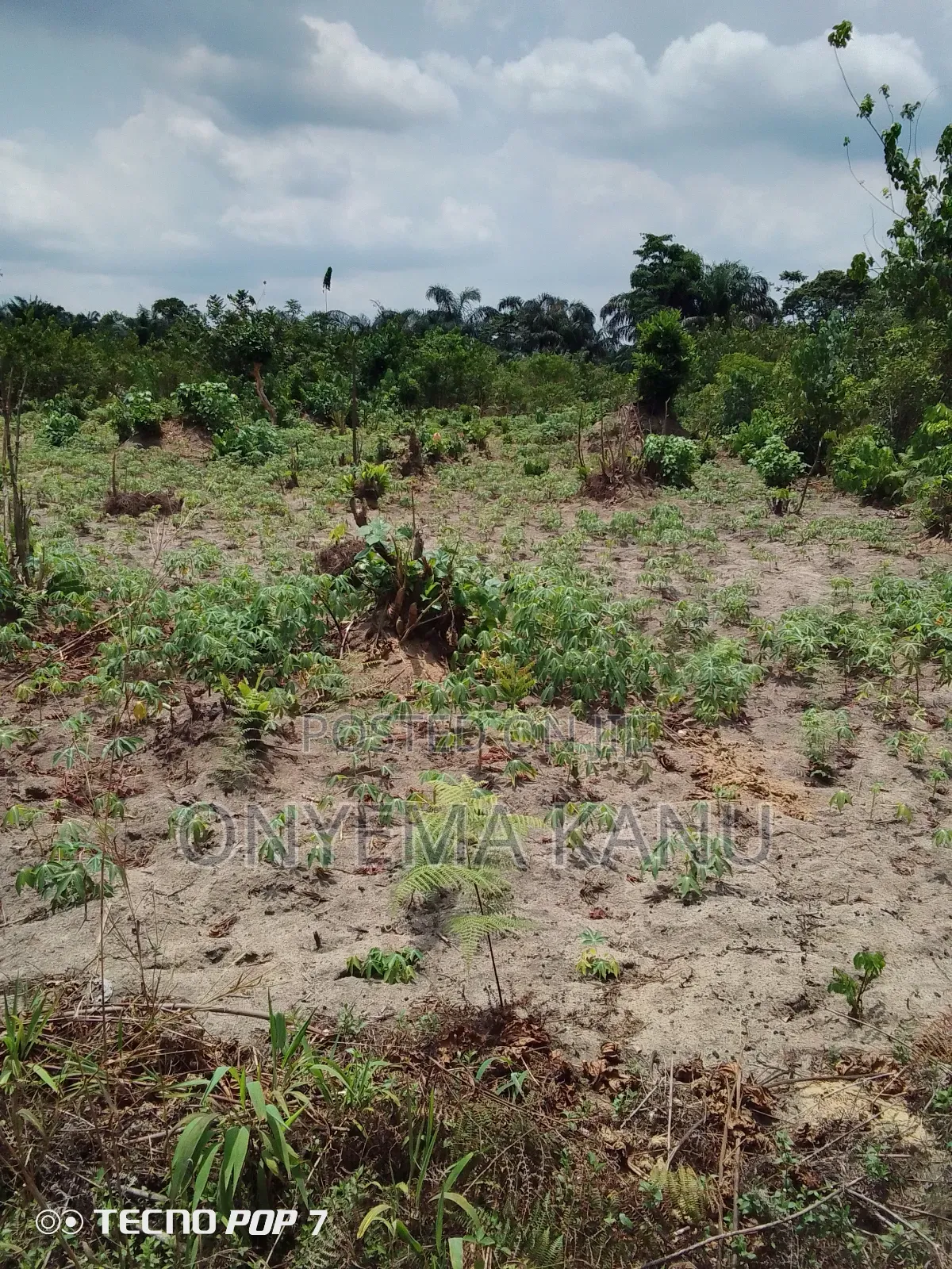 Low Cost Land for Sale.