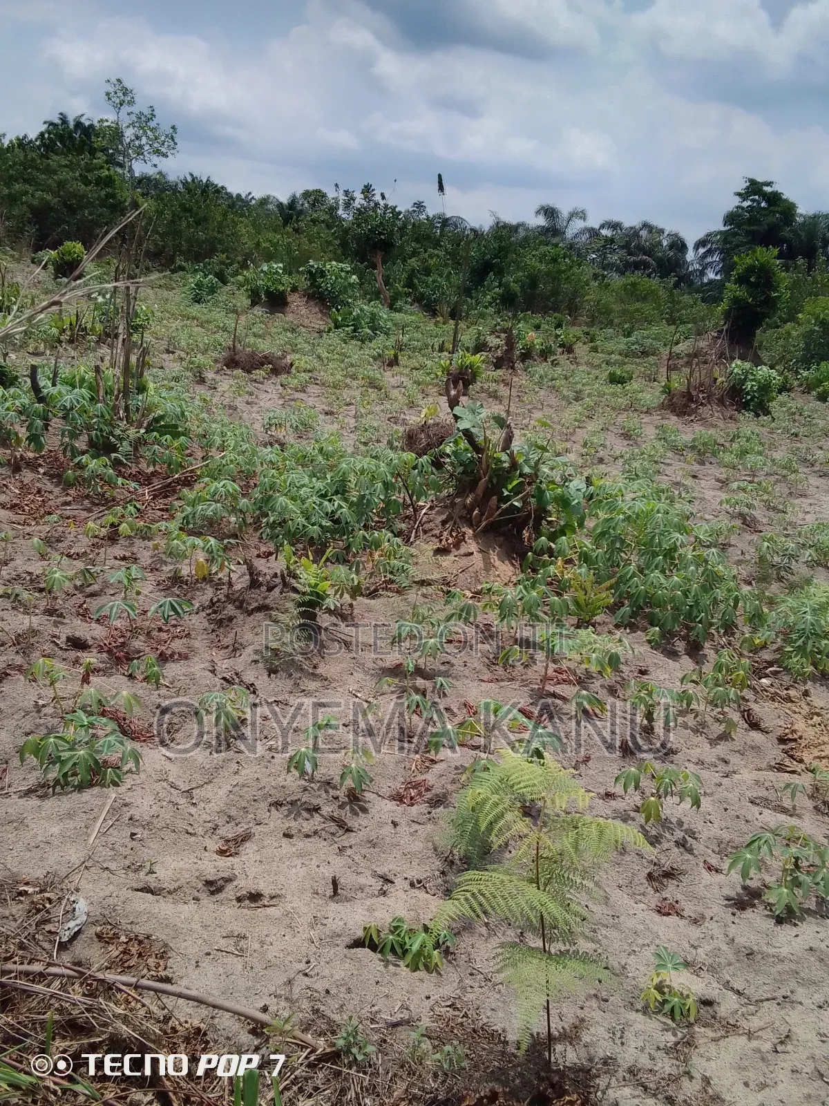 Low Cost Land for Sale.