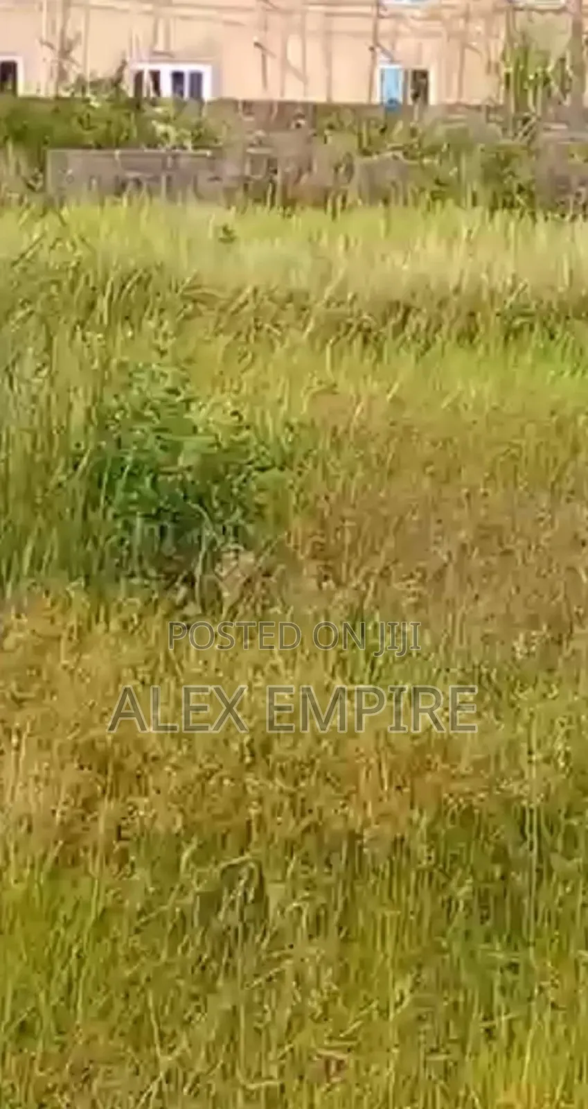 Full Plot of Land in Bucknor, Isolo
