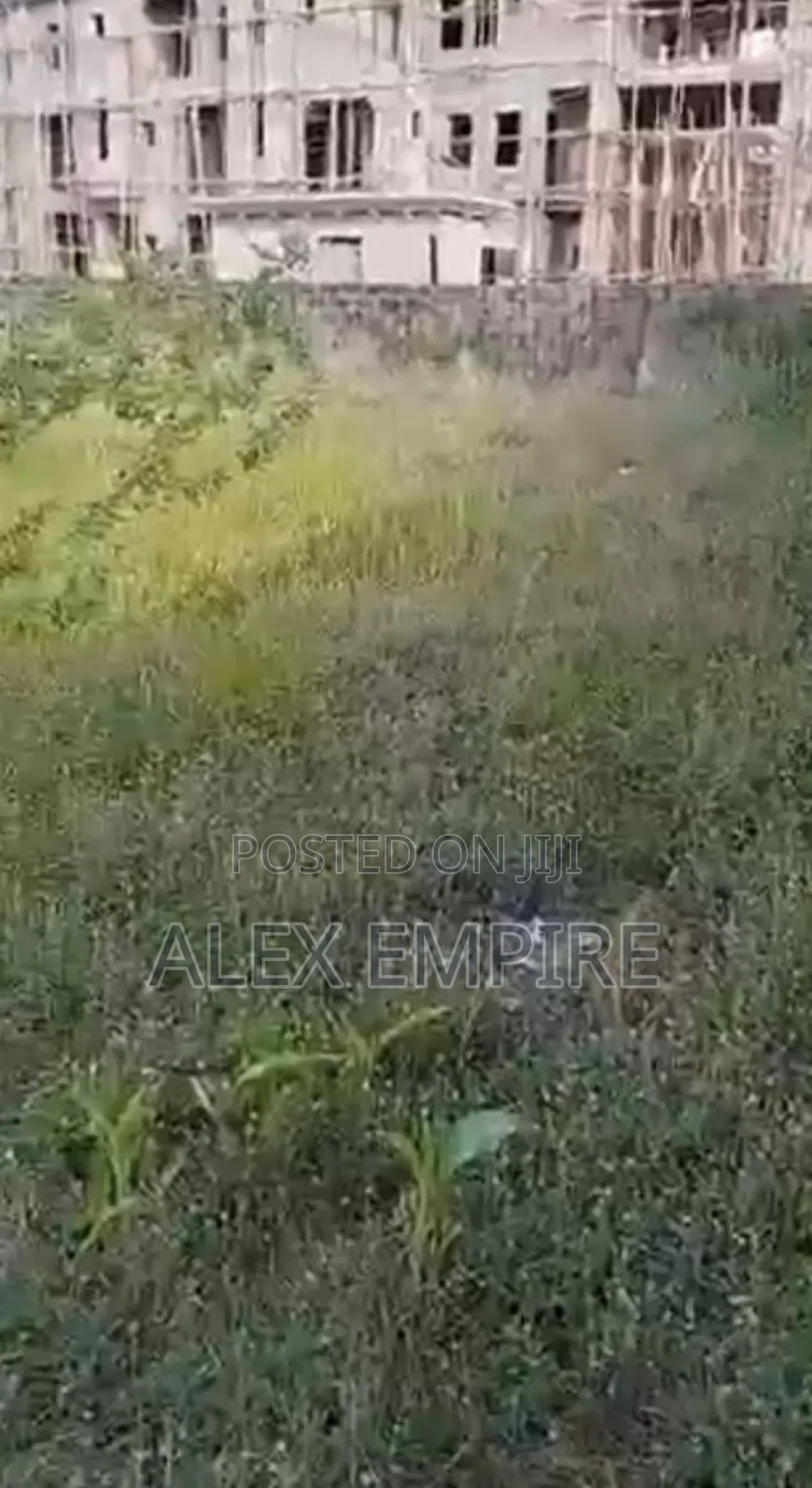Full Plot of Land in Bucknor, Isolo