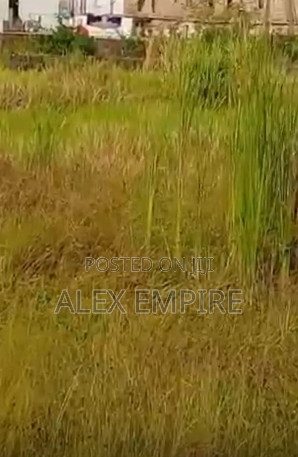 Full Plot of Land in Bucknor, Isolo