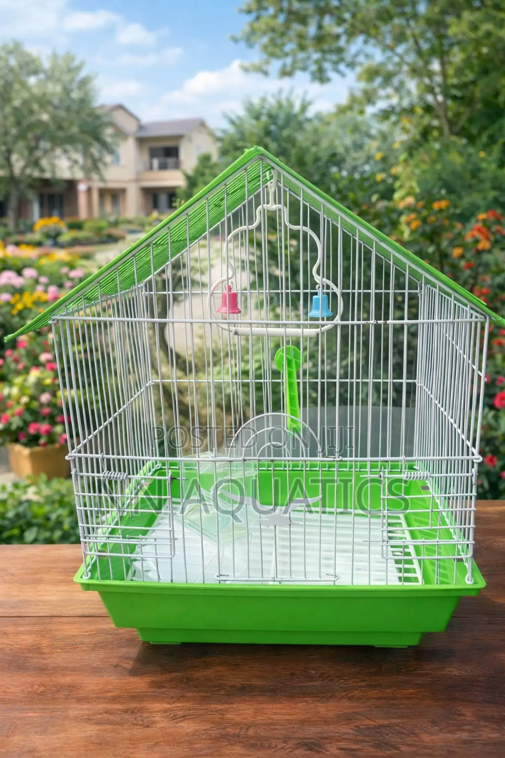 Bird Cages
