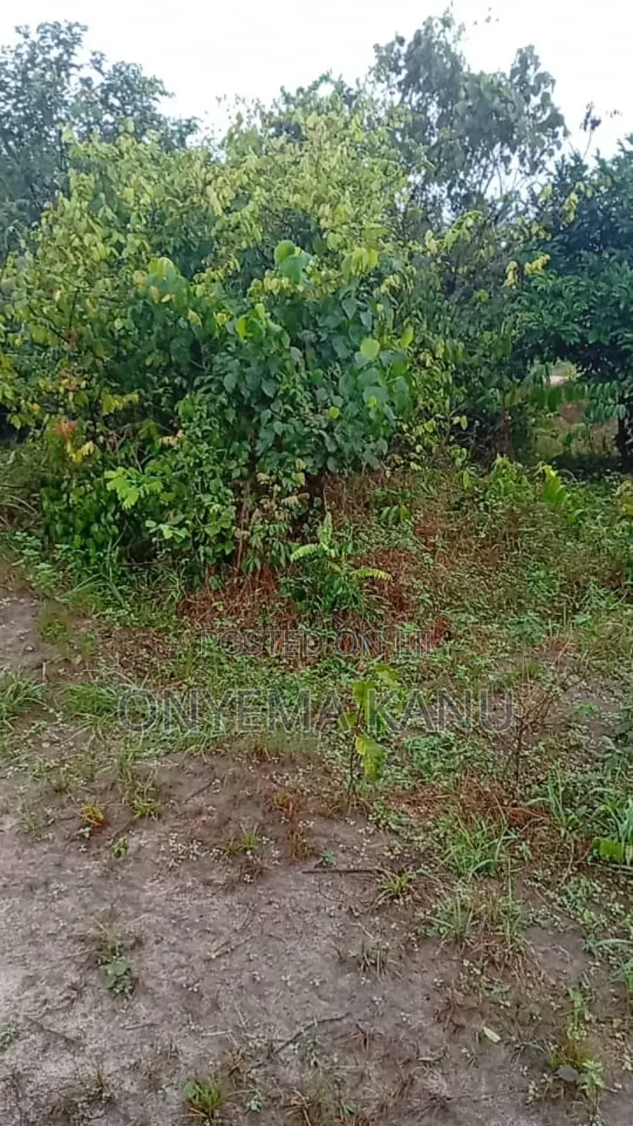 100 Plots for Urgent Sale