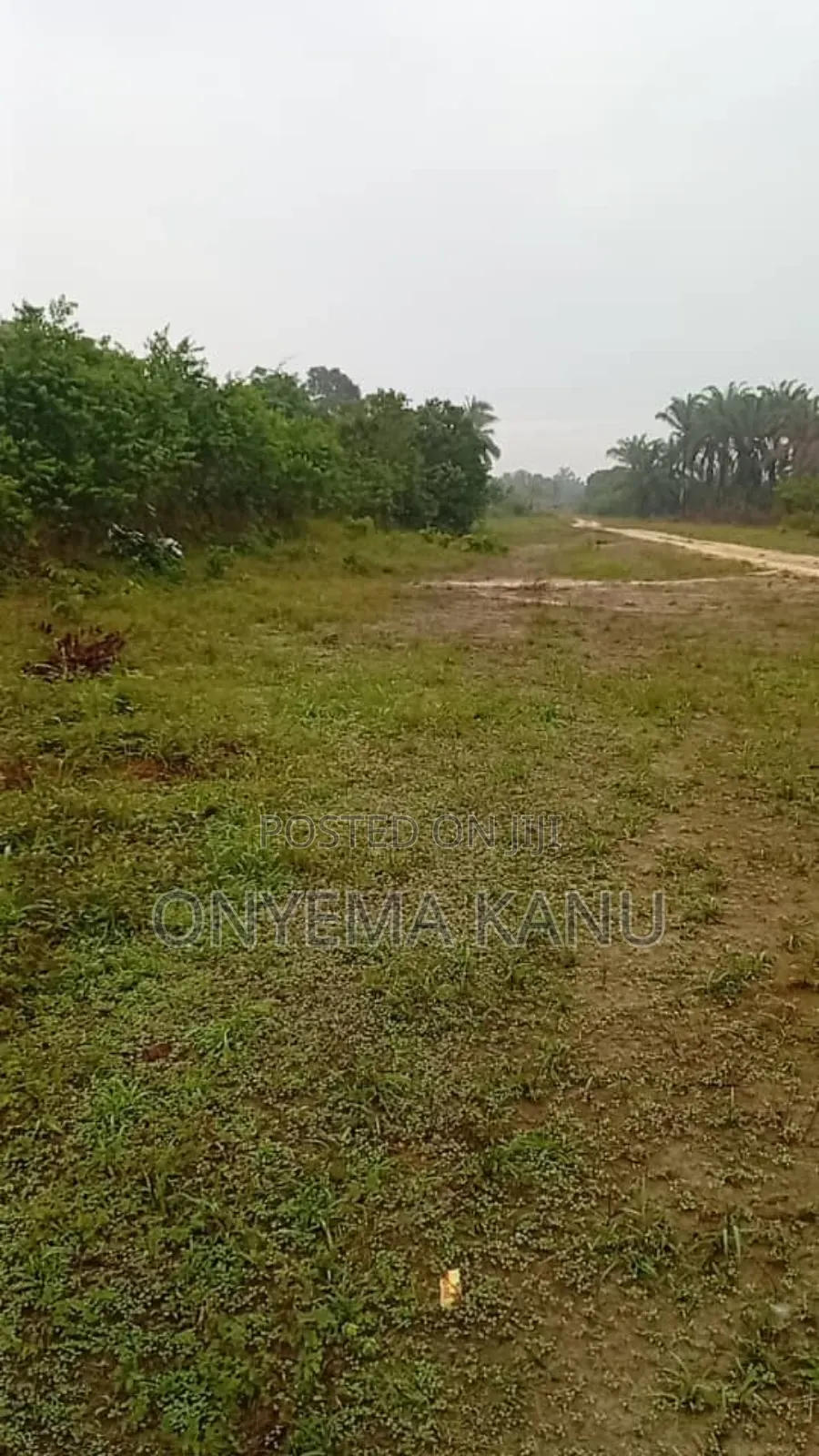 100 Plots for Urgent Sale
