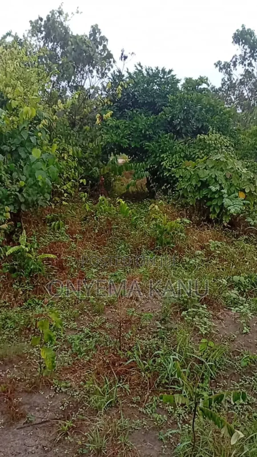 100 Plots for Urgent Sale