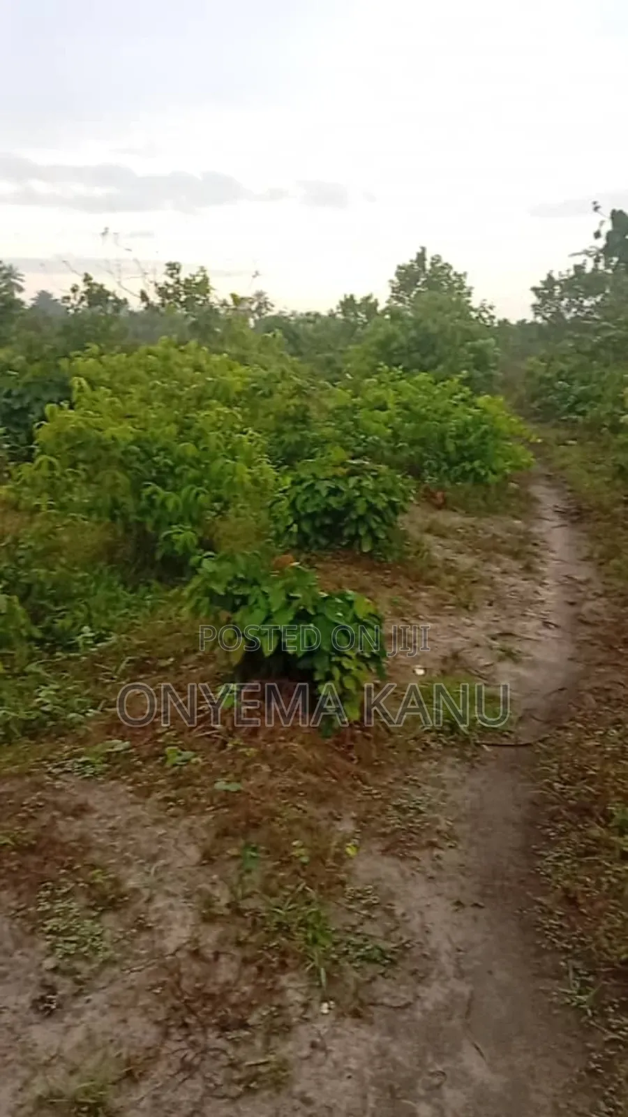 100 Plots for Urgent Sale