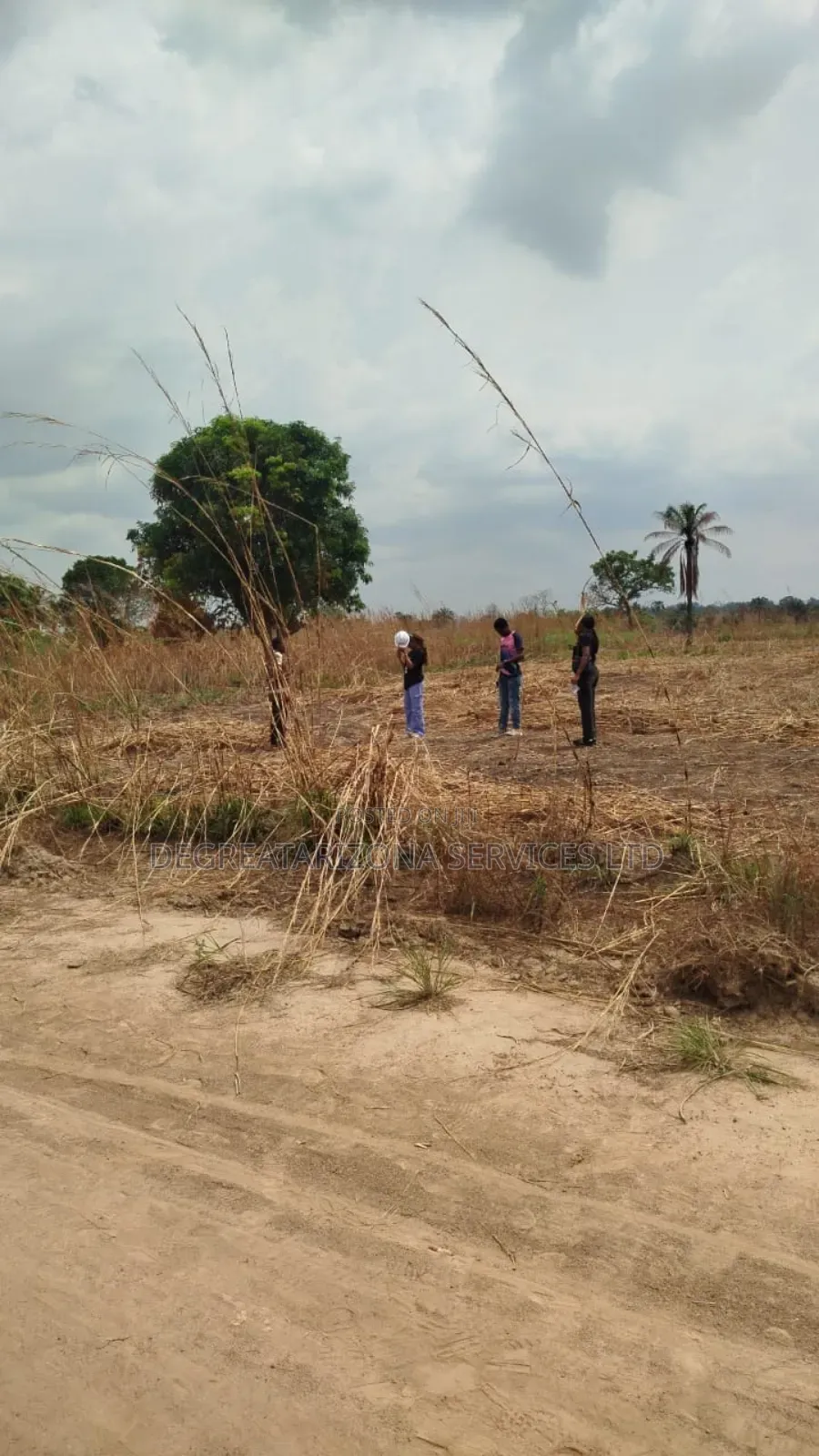 Plots of Lands Available for Sale in an Agro Land