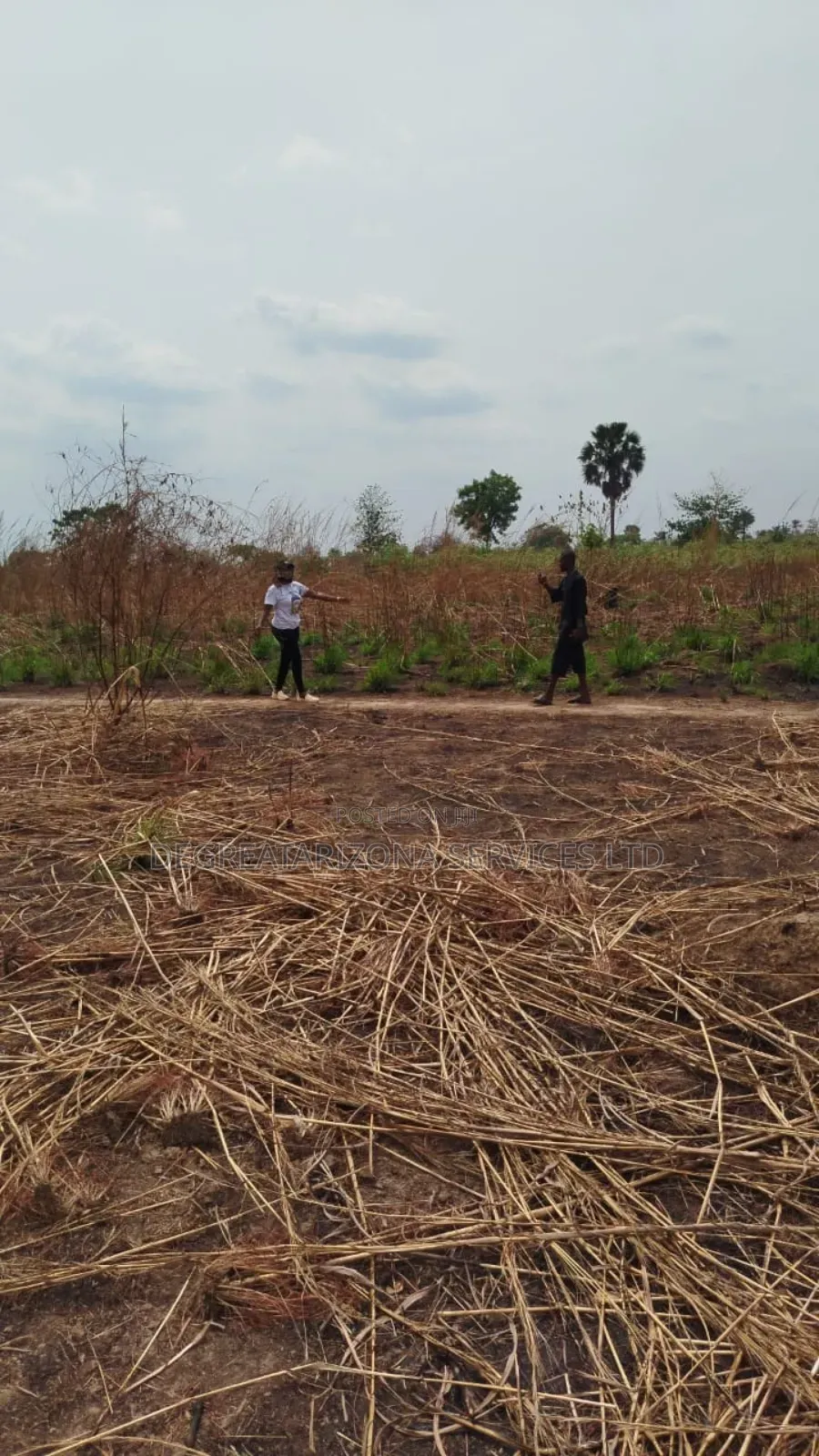 Plots of Lands Available for Sale in an Agro Land