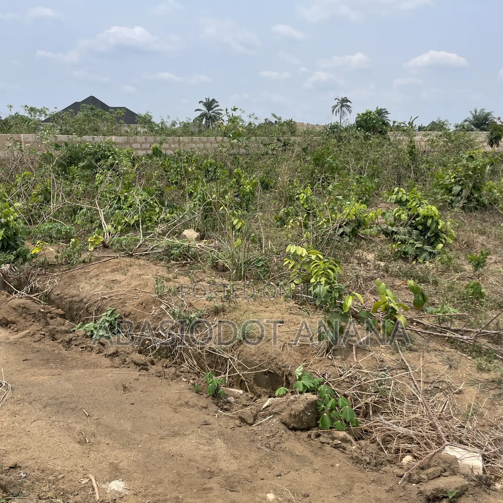 Osongoma Estate 1000sqm All Documents Intact