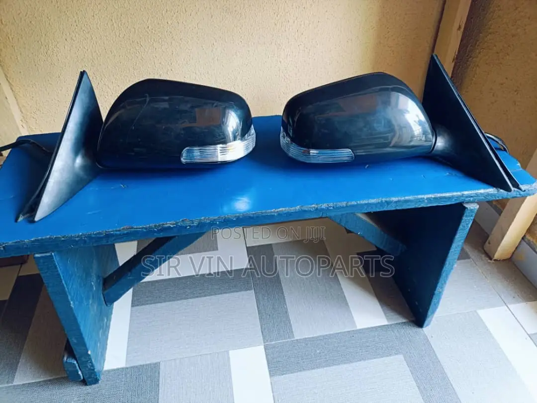 Side Mirror for Camry 2010 (With Pointer)