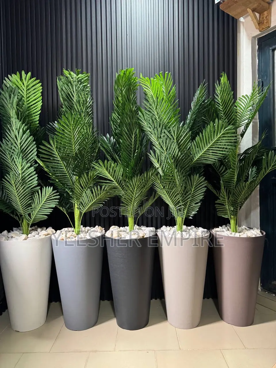 Palm Potted Plant
