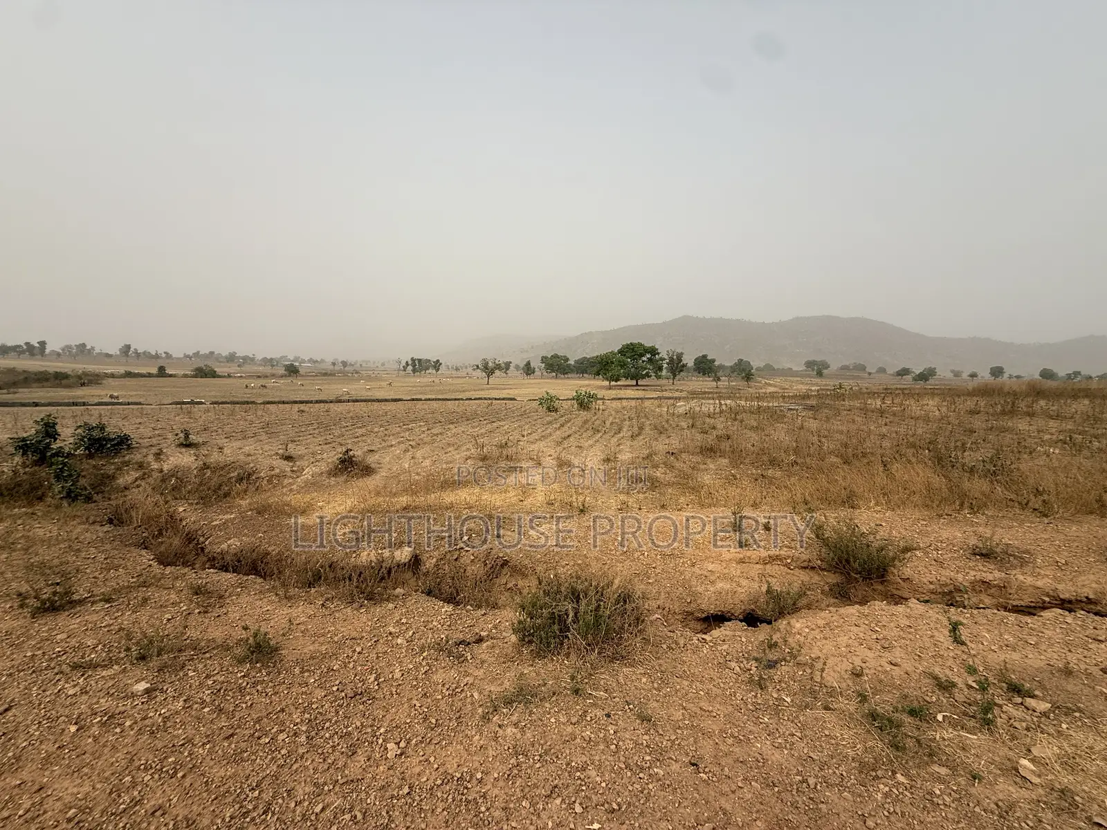Suitable Land for Farming
