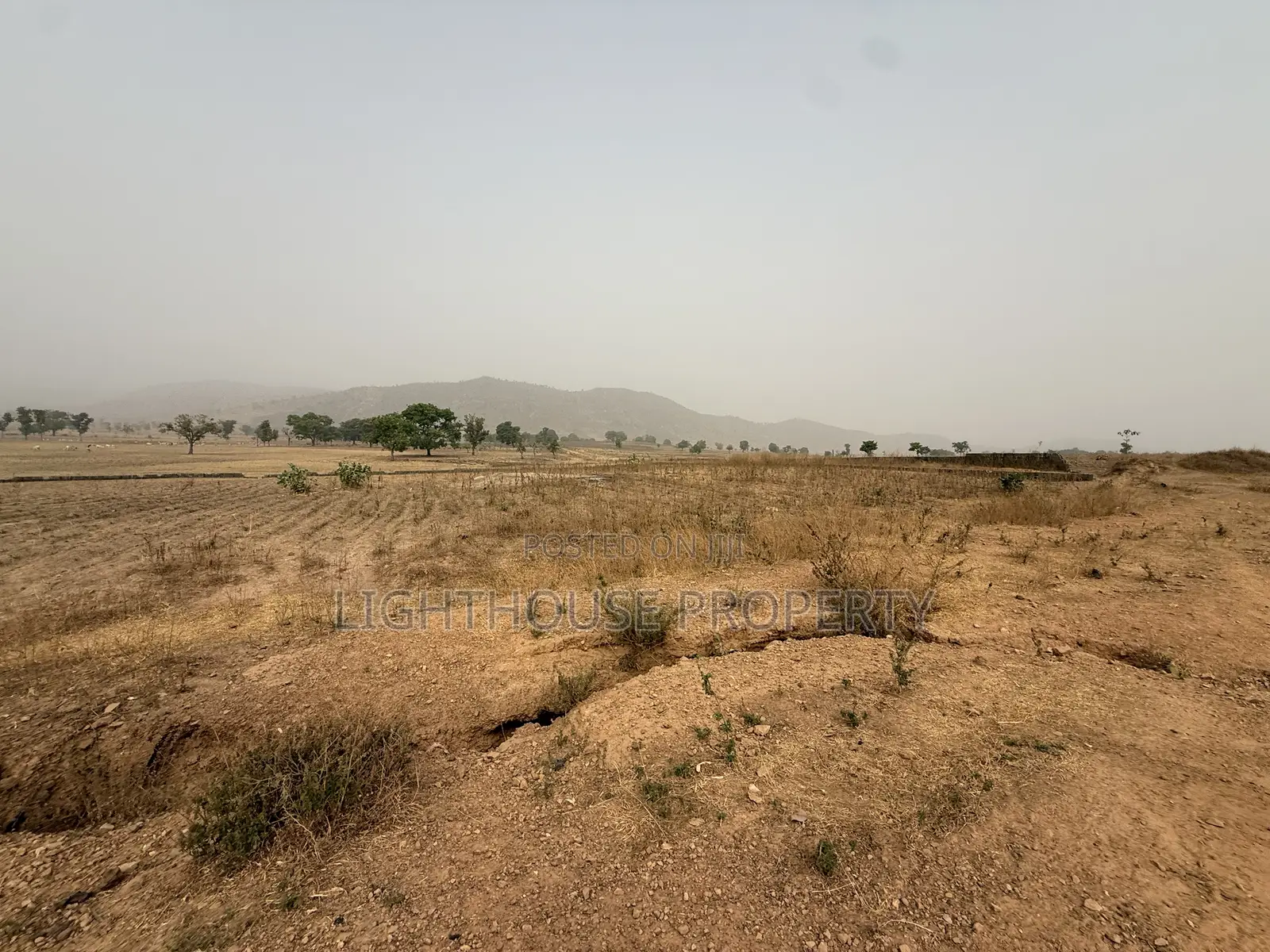 Suitable Land for Farming