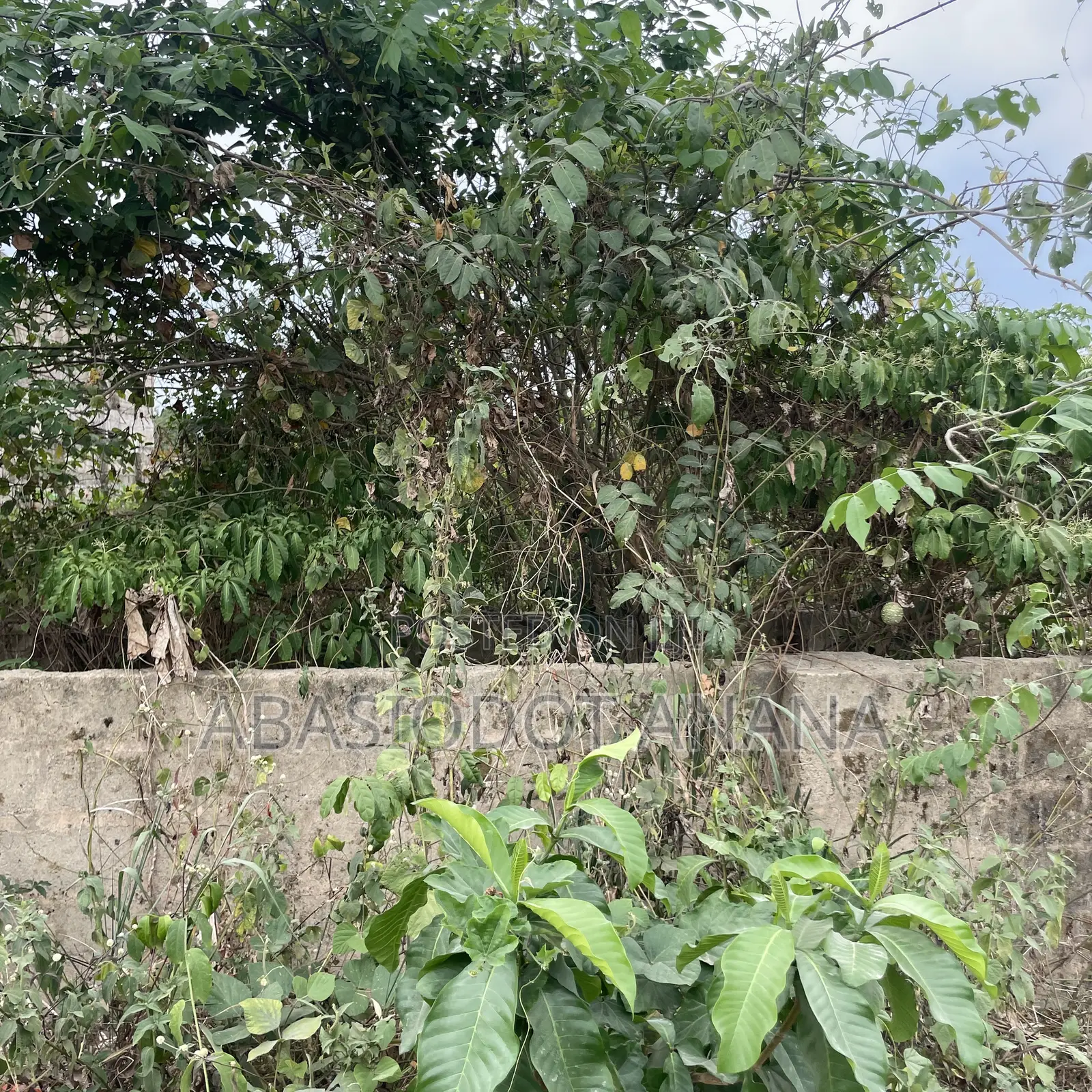 Osongoma Estate 850sqm All Documents Intact