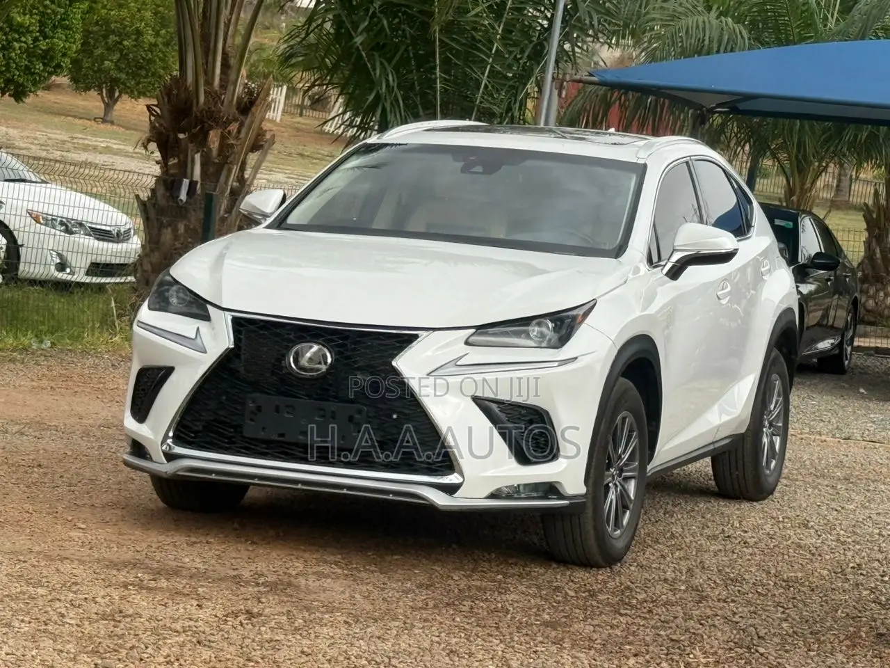 Lexus NX 300 AWD 2020 White