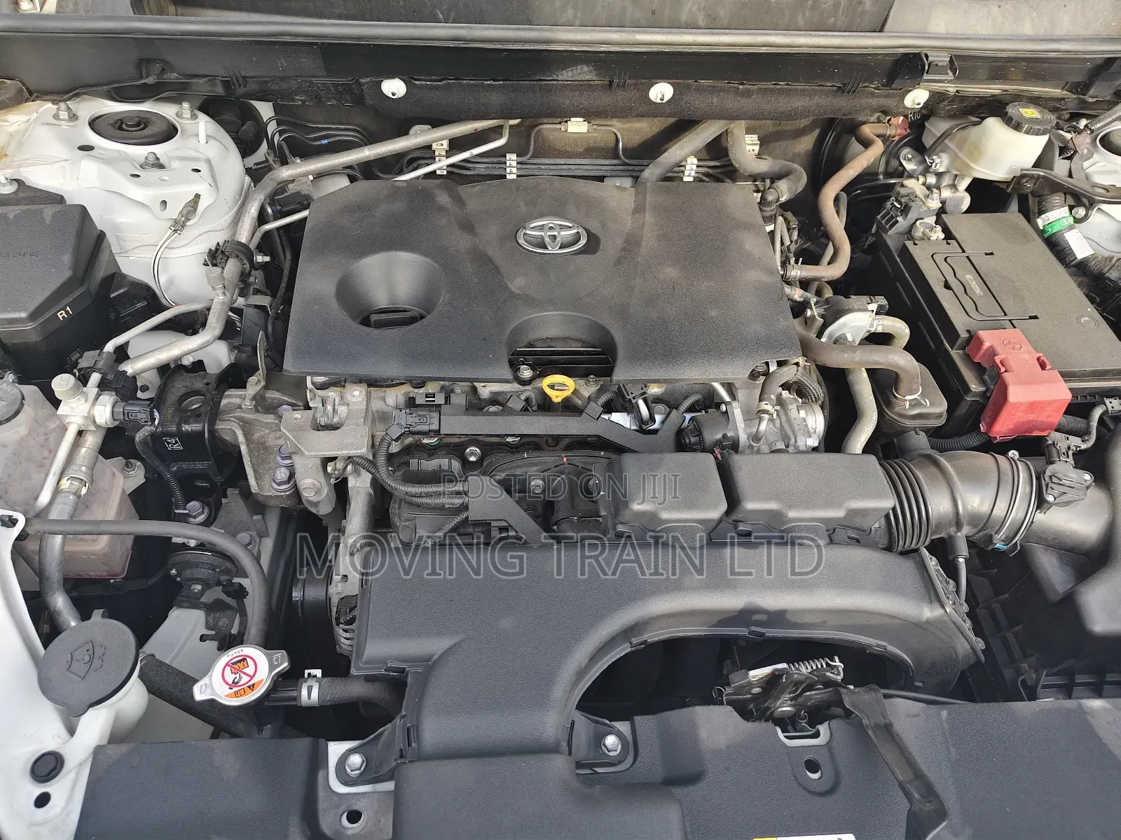 Toyota RAV4 XLE Premium 2022 Off white