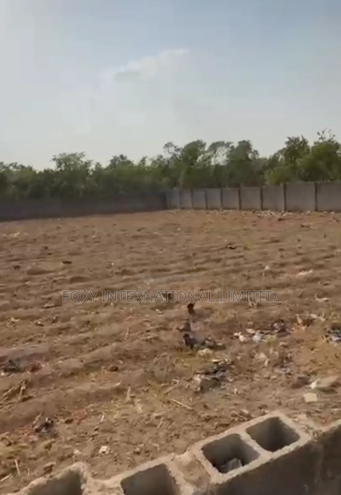 Jahi Commercial Land