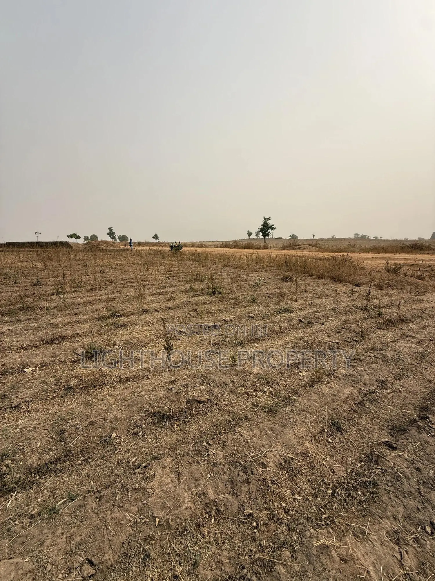 Suitable Land for Farming