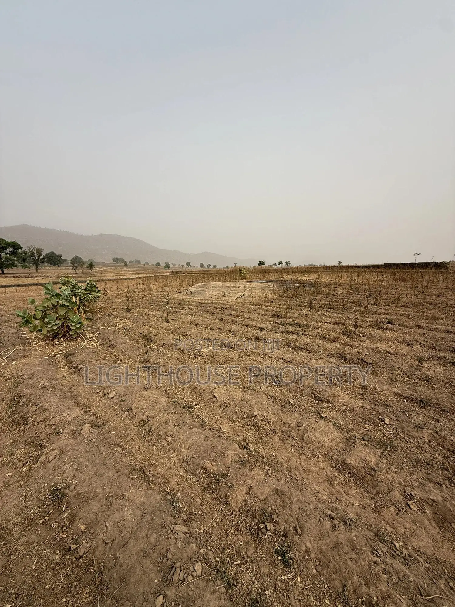 Suitable Land for Farming