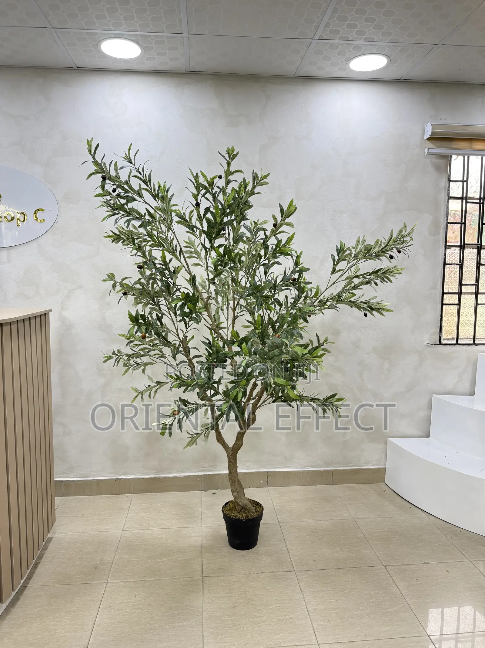 210cm Artificial Wide Olive Tree – Home Interior Décor in Nigeria