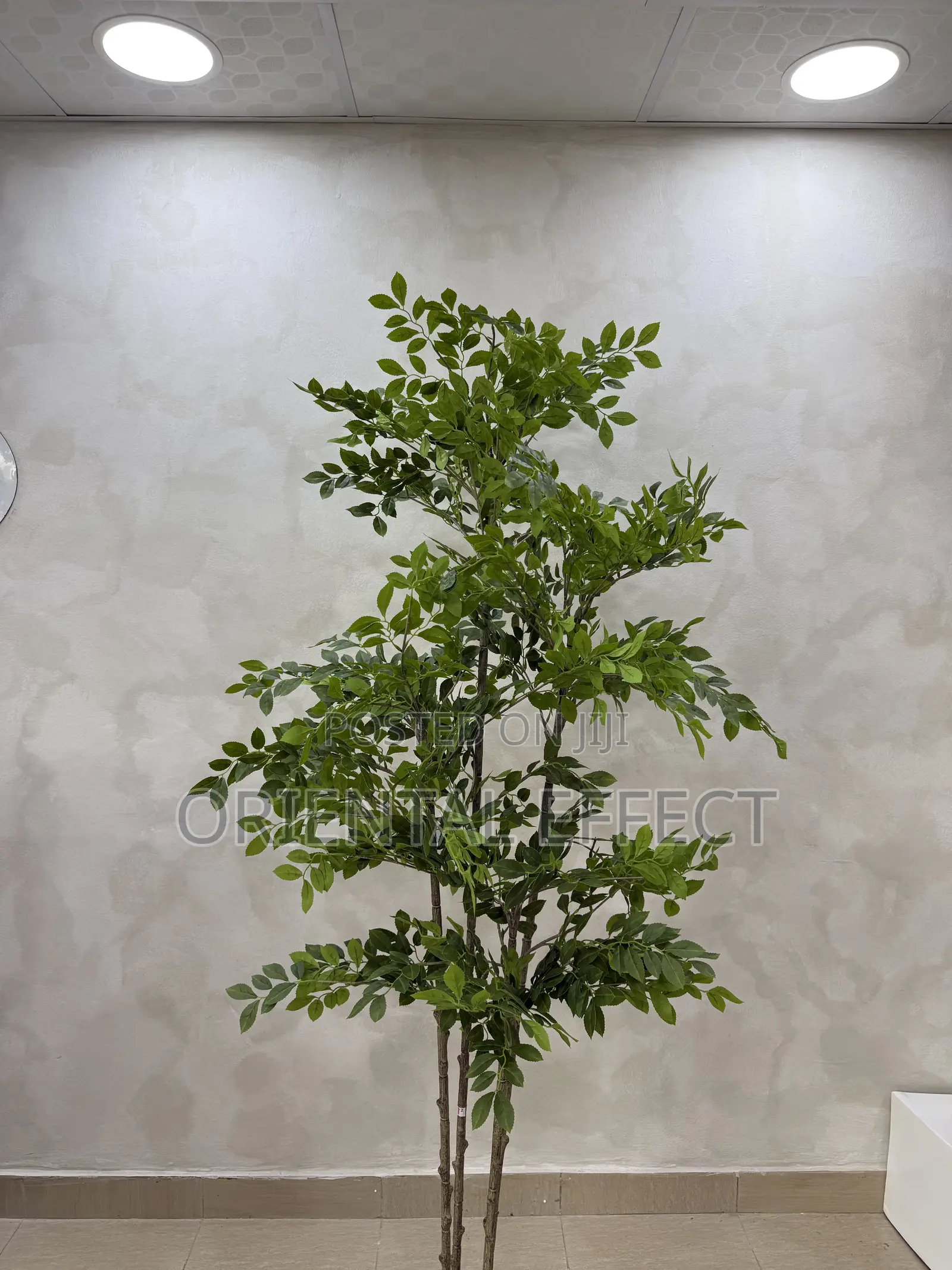 180cm Artificial Pumila Tree – Realistic Faux Indoor Plant Decor
