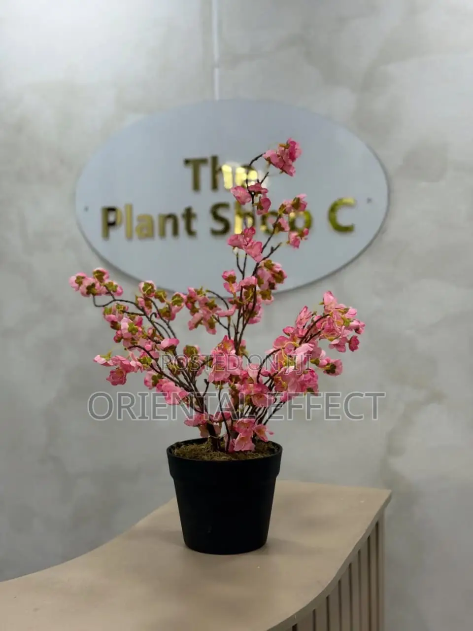 55cm Artificial Mini Cherry Plant – Realistic Faux Indoor Decor