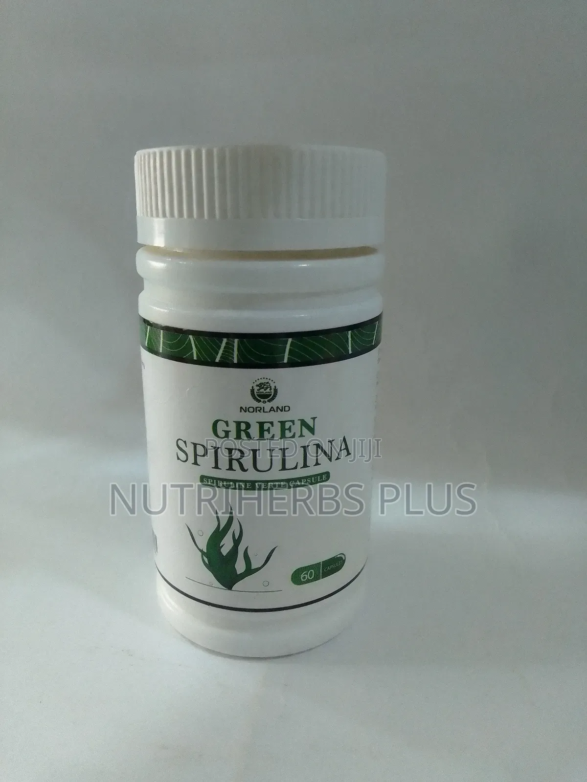 Norland Green Spirulina Capsules: An Immune System Booster