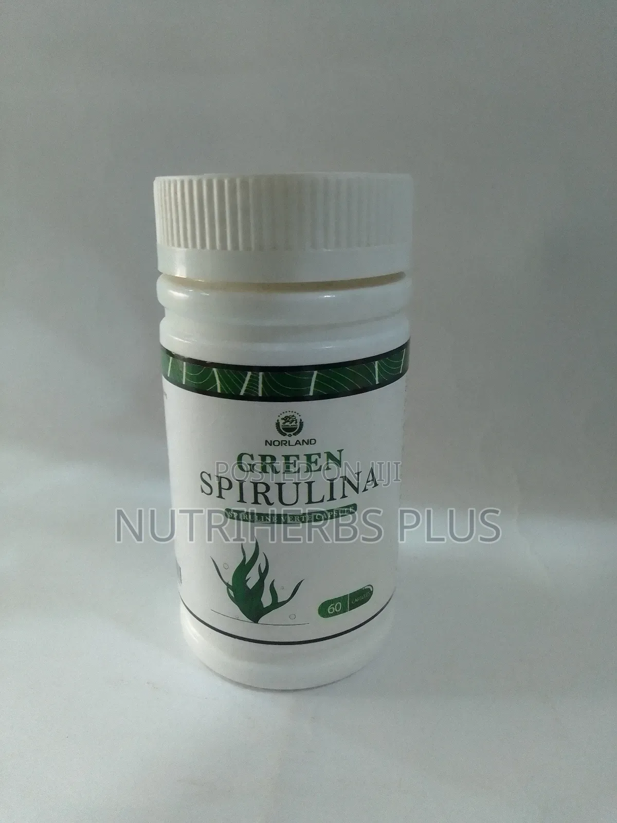 Norland Green Spirulina Capsules: An Immune System Booster