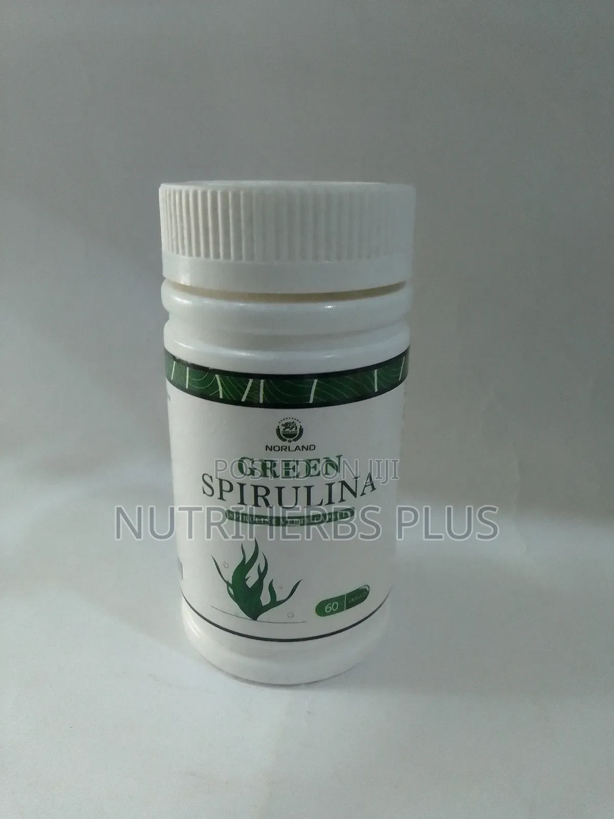 Norland Green Spirulina Capsules: An Immune System Booster