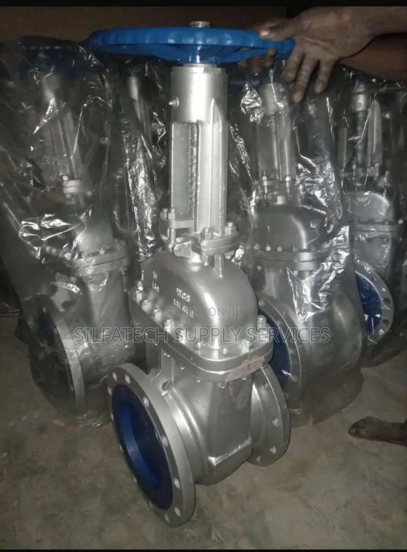 Heavy Duty Gate Valve