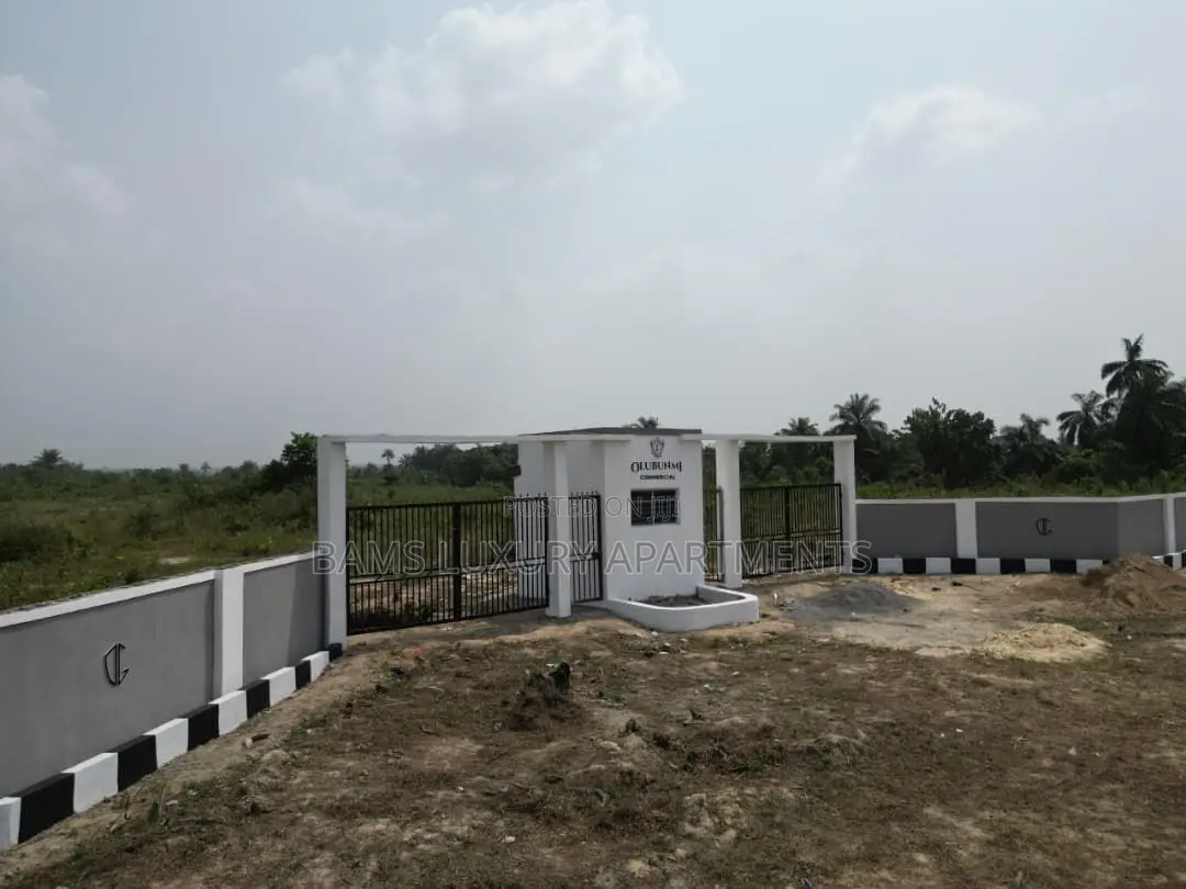 Buy Land in Lagos Before Prices Rise Epe #Diasporainvestment