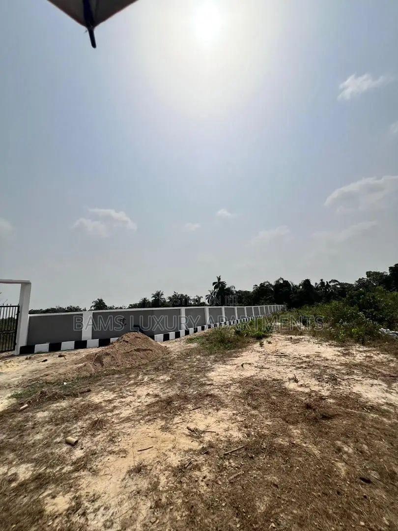 Buy Land in Lagos Before Prices Rise Epe #Diasporainvestment