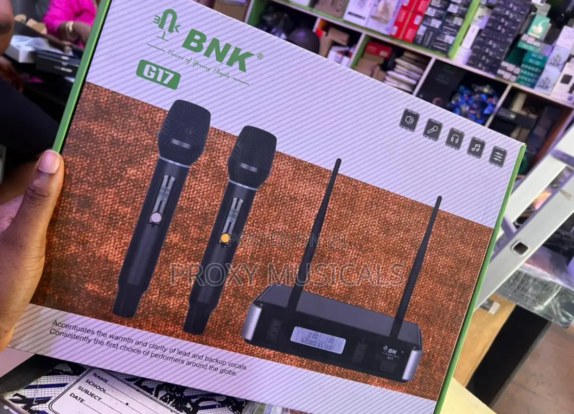 BNK G17 Wireless Microphone System