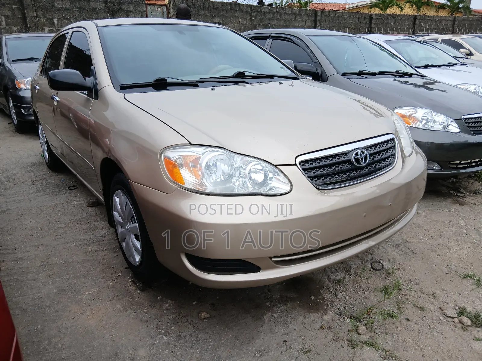 Toyota Corolla LE 2006 Gold
