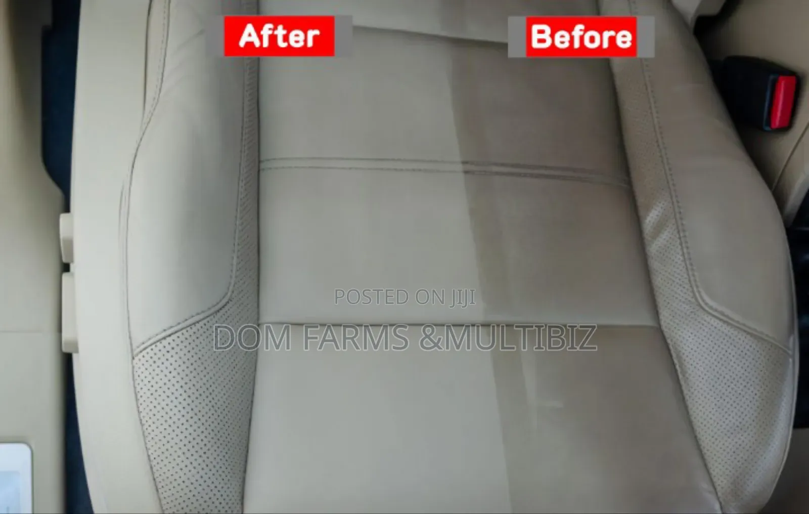 Professional Car Seat Cleaning