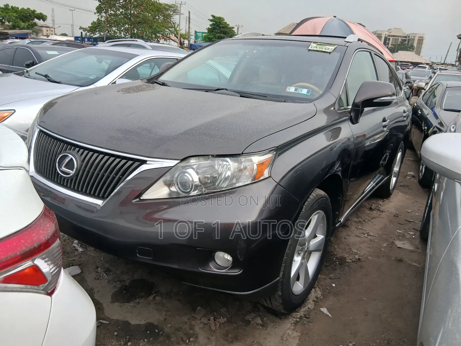 Lexus RX 350 2010 Brown
