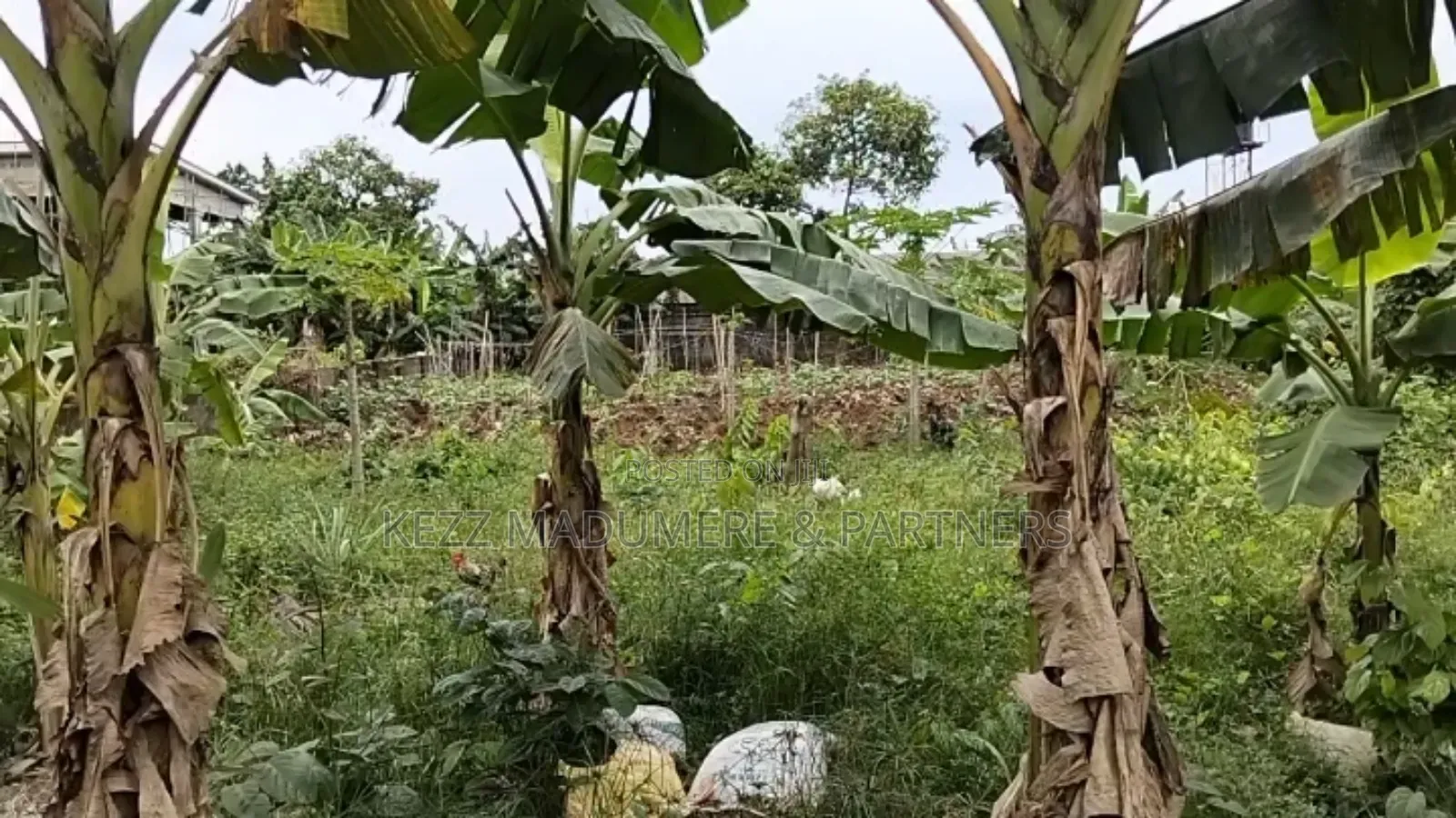 For Sale : 2 Plots at New Gra Phase 8 Eliozu, Ph